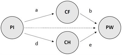 Positive identity predicts psychological wellbeing in Chilean youth: A double-mediation model